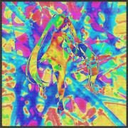 使い物にならない}