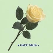 Criatividade}