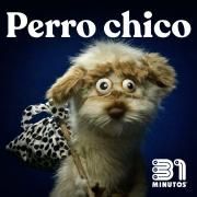 Capa do Single/EP "Perro Chico", de 31 Minutos