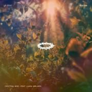 Capa do Single/EP "Jesus", de Central MSC