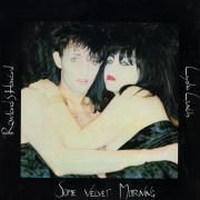 Portada de Sencillo/EP "Some Velvet Morning (feat. Lydia Lunch)", de Rowland S. Howard