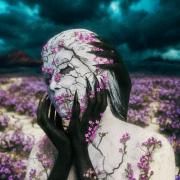 Portada de Álbum "FLORES DEL DESIERTO ", de Capri (João Capri)