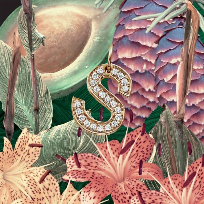 Imagem do álbum S do(a) artista SZA
