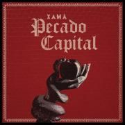 Pecado Capital}