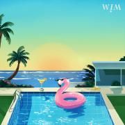 Capa do Single/EP "Mr. Feelgood", de WIM