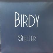 Shelter}