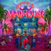 Welcome to the Madhouse (Deluxe)}