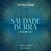Saudade Burra (remix) (part. DJ Valente)}