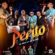 Perito (part. Na Hora H)}