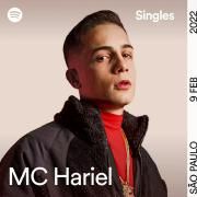 Pirâmide Social (Spotify Singles)
