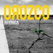 Aviónica}