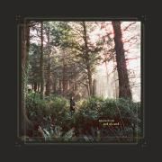 Seed of a Seed (Album)