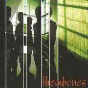 Capa do Álbum "You Are Welcome", de Thembones