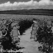 Capa do Álbum "o jardim colorido se tornou cinzento (part. Canvaz)", de oceanlp