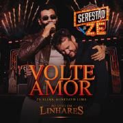 Volte Amor (Ao Vivo em Linhares) (part. Zé Elias)}