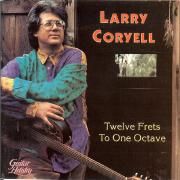Twelve Frets To One Octave}