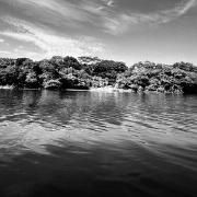 Capa do Álbum "16", de Elyxiy