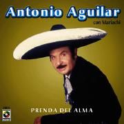 Prenda Del Alma