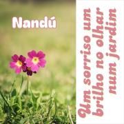 Capa do Single/EP "Um Sorriso, Um brilho no Olhar Num Jardim", de Nandú