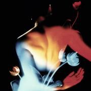 Capa do Single/EP "Still Life", de Fright Years