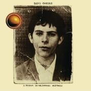 A Página do Relâmpago Elétrico}