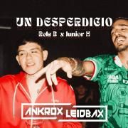 UN DESPERDICIO}