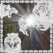 Capa do Álbum "White Tiger", de 2hollis