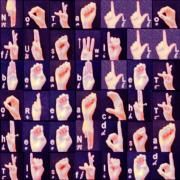 Portada de Álbum "Not All Of Us Will Be Able To Reach The End Satisfied", de confortavelmente confuso