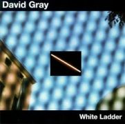 White Ladder}
