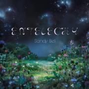 Capa do Álbum "Entelechy", de Sandy Bell