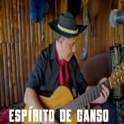 Espírito de Ganso }
