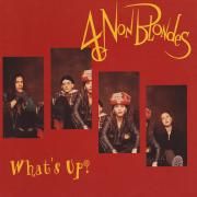 Portada de Sencillo/EP "What's Up?", de 4 Non Blondes