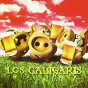 Chancho Amigos