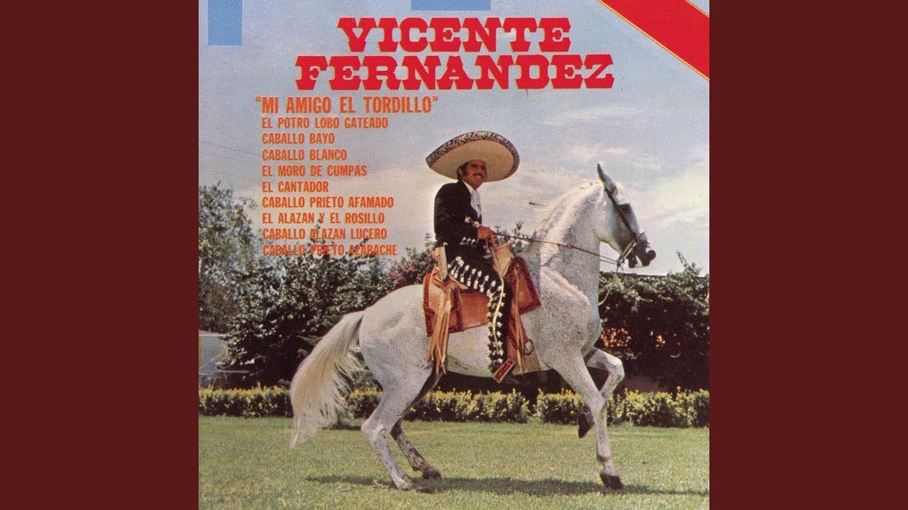 Mi Amigo El Tordillo