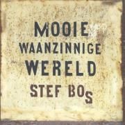 Mooie Waanzinnige Wereld}