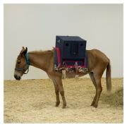 Sambas do Absurdo (part. Juçara Marçal e Gui Amabis)}