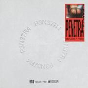 Penetra (Pedro Sampaio Remix)}