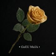 Capa do Álbum "Raridade", de Gael Maia