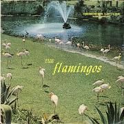 The Flamingos}