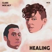 Healing (feat. Moe Aly)