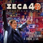 Camarão Que Dorme A Onda Leva -Ao Vivo 