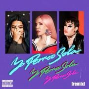 Yo Perreo Sola (remix)}