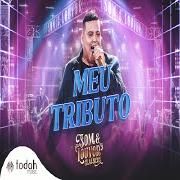 Meu Tributo (Ao Vivo)}