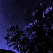 dose diária (part. oceanlp)