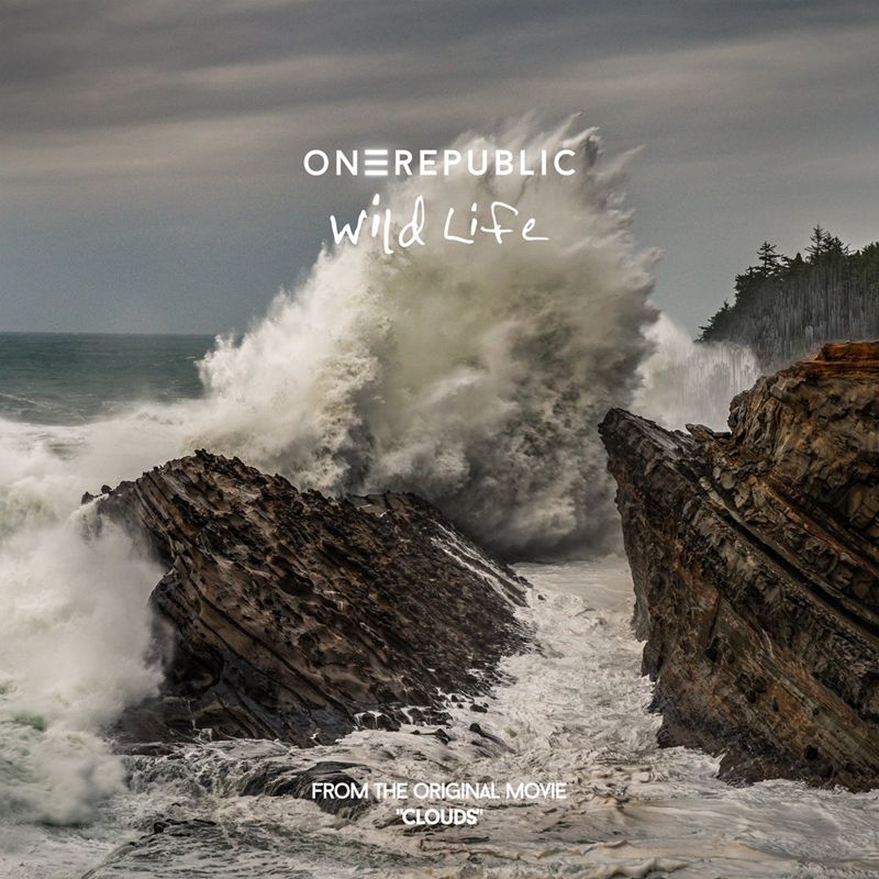 WILD LIFE (TRADUÇÃO) - OneRepublic 