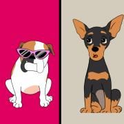 Portada de Sencillo/EP "Bola Amarela ", de Mada E Bica