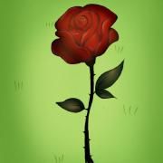 Jardim de Mim}