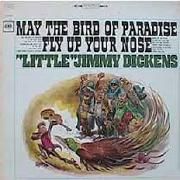May The Bird Of Paradise Fly Up Your Nose