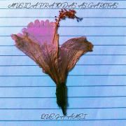 Música Pra Todas As Garotas Que Já Amei}