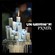 MTV Unplugged: Pxndx}
